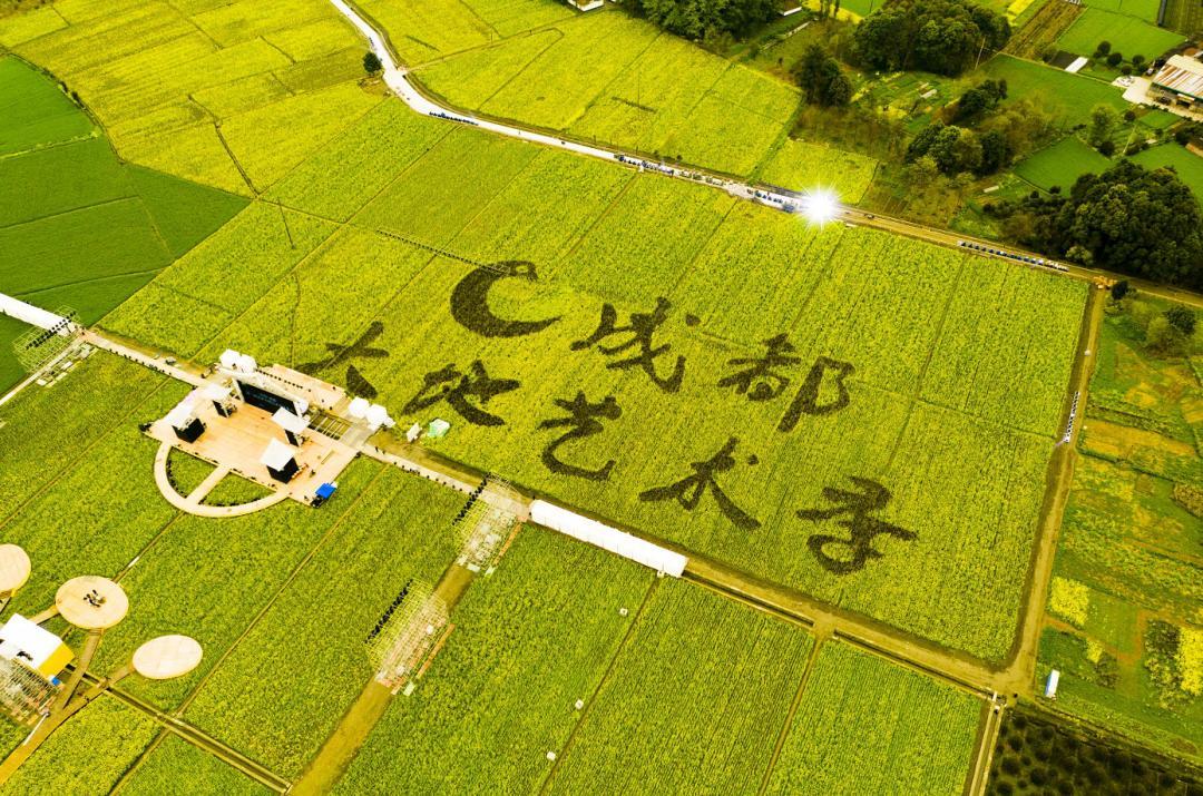 艺术稻田景观投资的相关图片